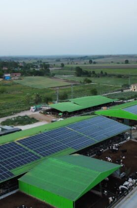 WhatsApp-Image-2023-08-13-at-13.54.48-1