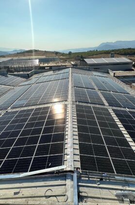 WhatsApp-Image-2023-08-13-at-13.55.36-3